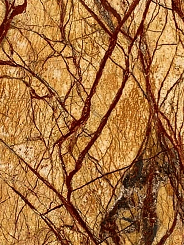 Rainforest Golden marble slab